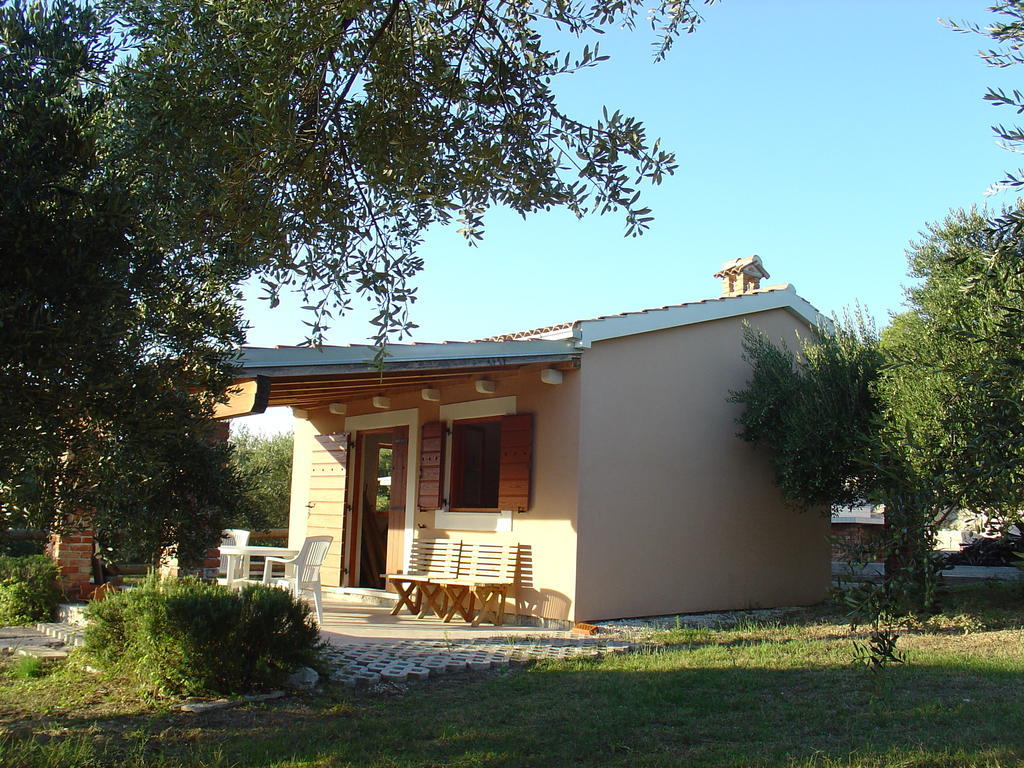 Apartman Marnii *